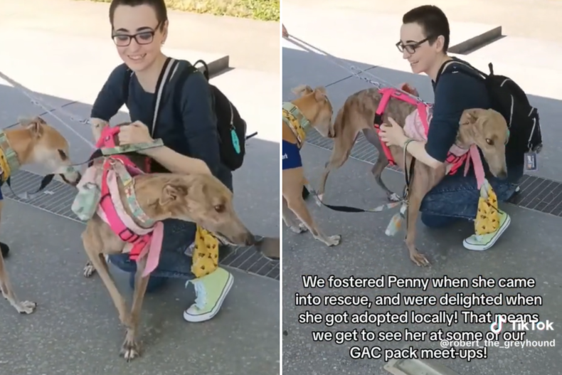 Zoe-Louise Doyle cuddling Penny the greyhound