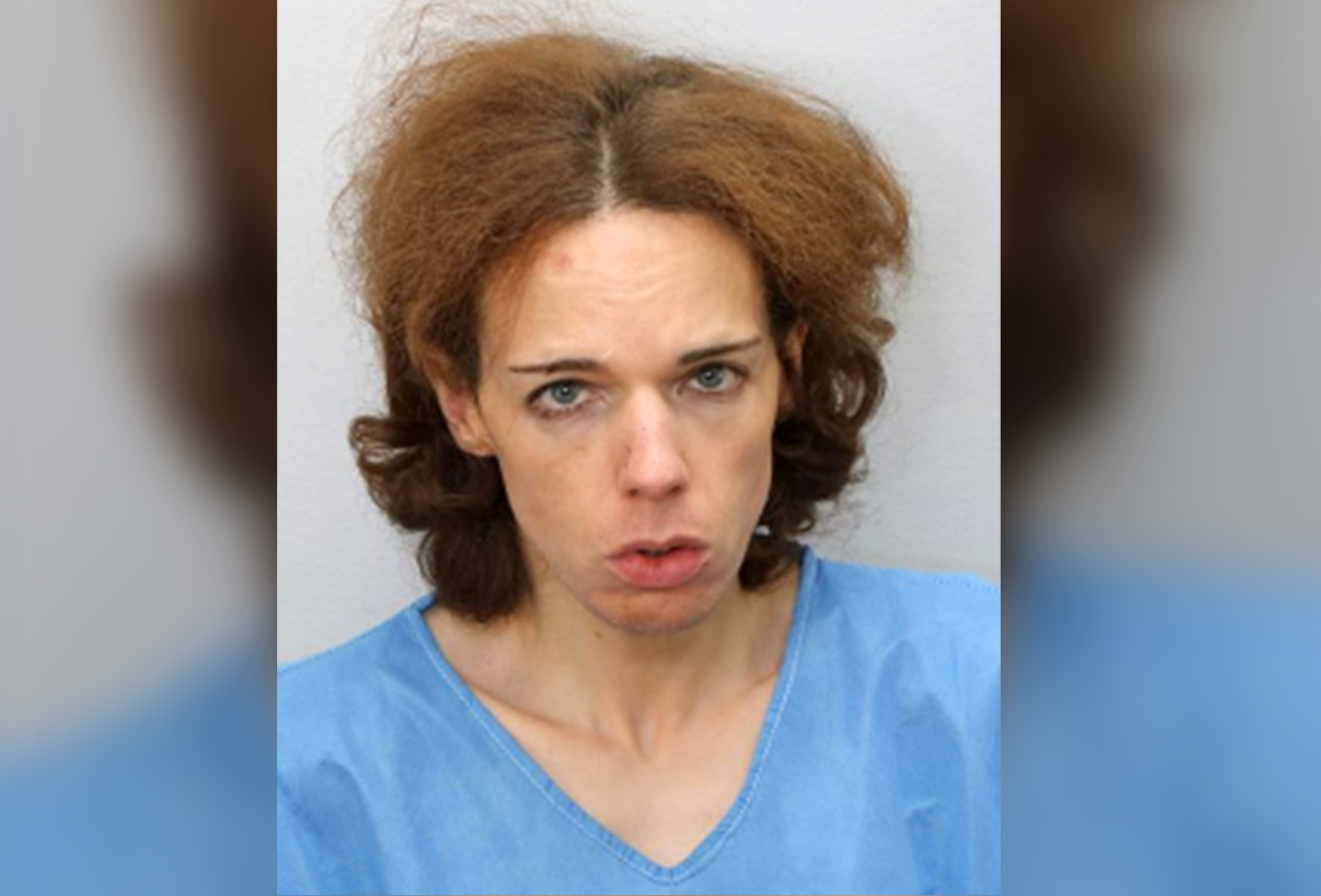 Who Was Abbey Horwitz? Dentist Allegedly Stabbed to Death by Daughter