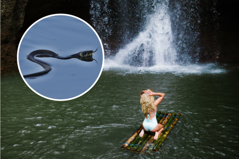 Suwat waterfall and snake