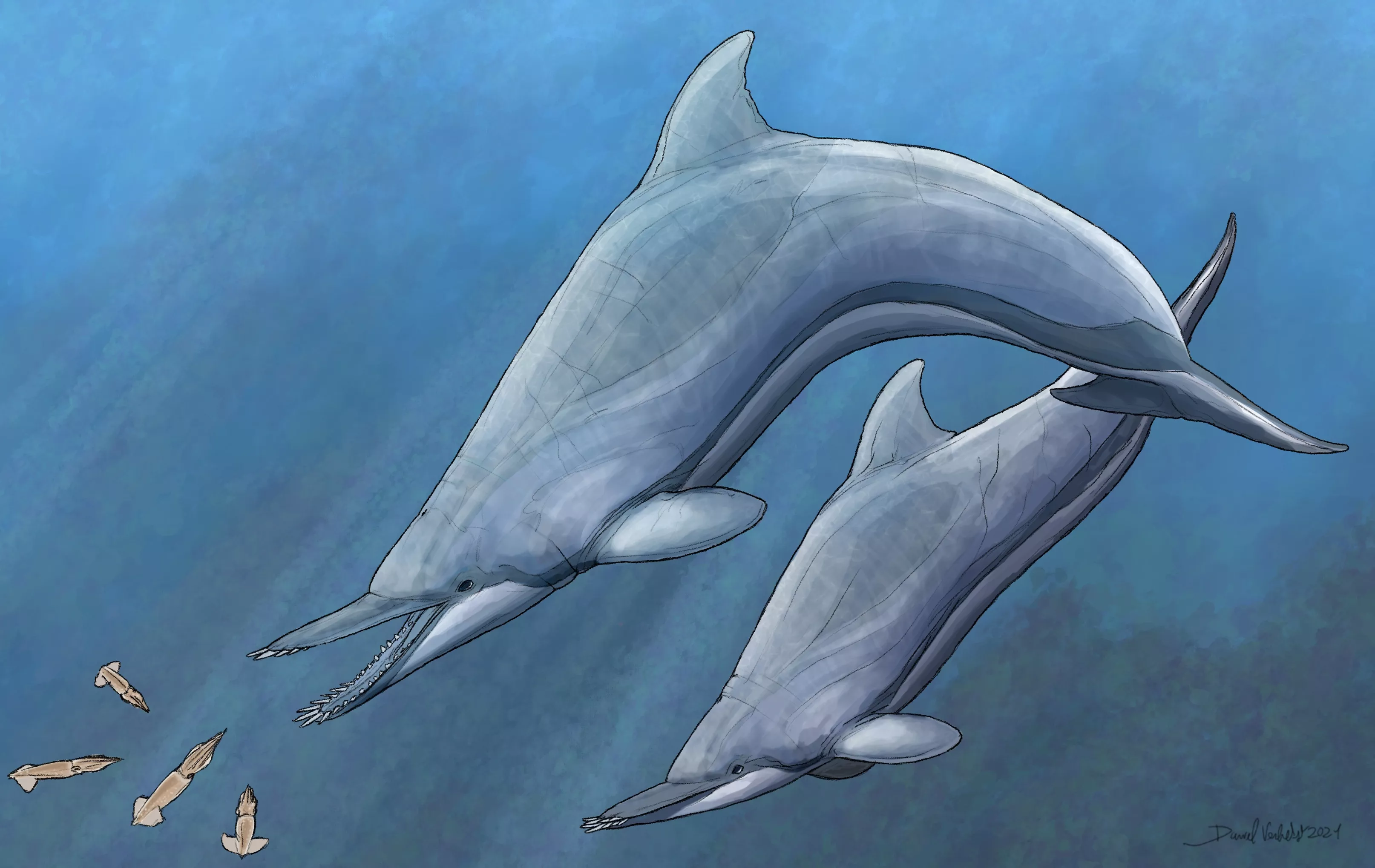 Ancient Dolphin Discovered With Teeth Spikes 'Unlike Any Seen Today' - Vimarsana News