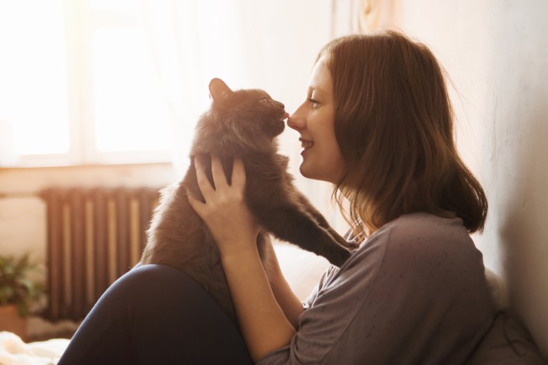 A cat licking a woman's nose