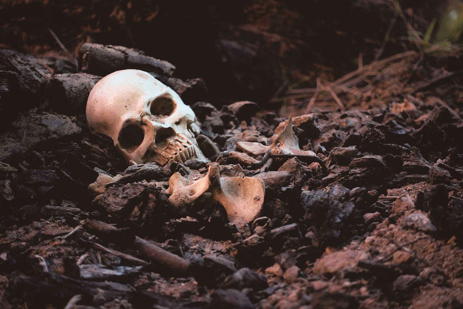 Nazi Skeletons Emerge in Ukraine as Waters From Destroyed Dam Recede