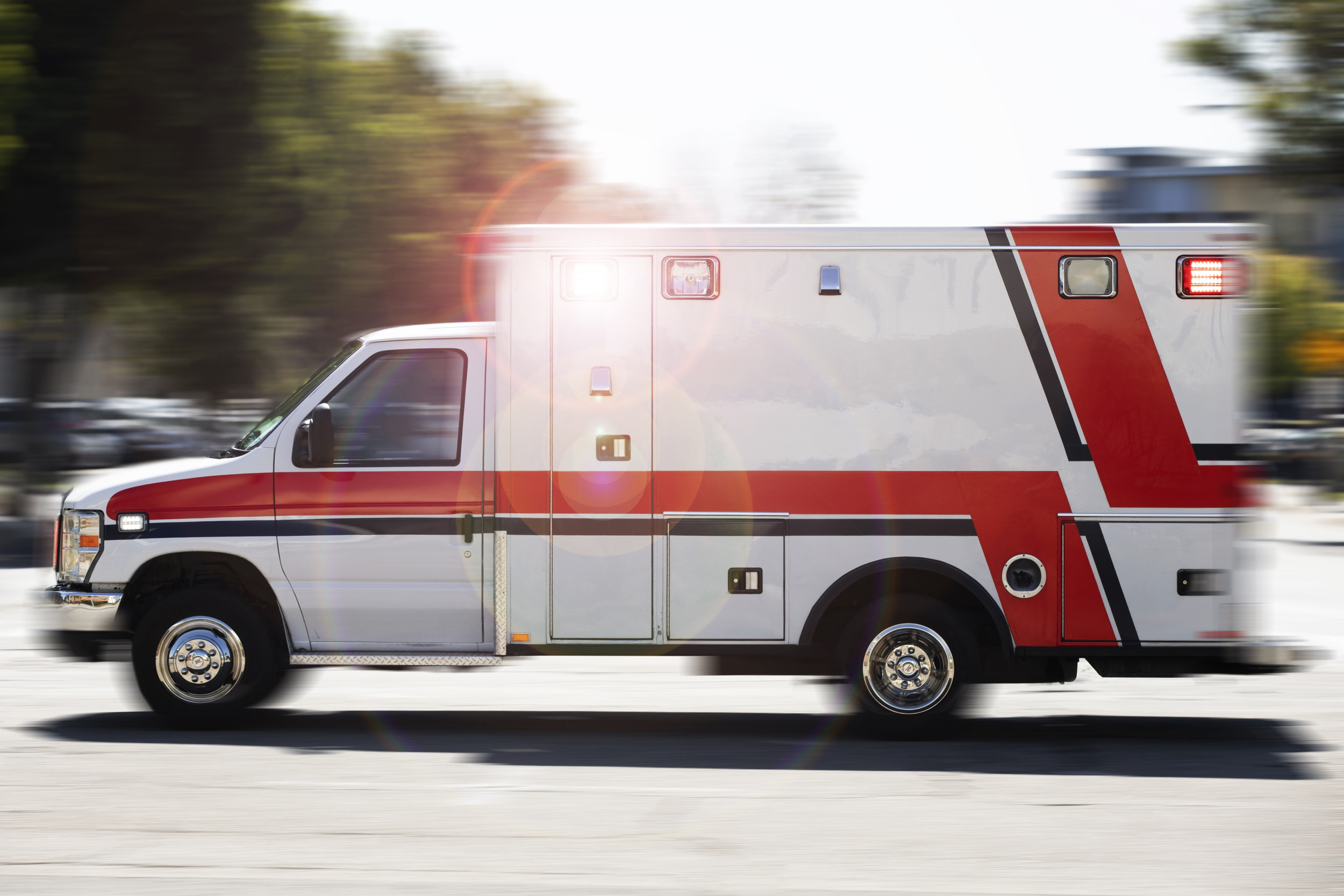 Girl, 5, Bitten in Face and Pregnant Mom Also Injured in Texas Dog Attack - Vimarsana News