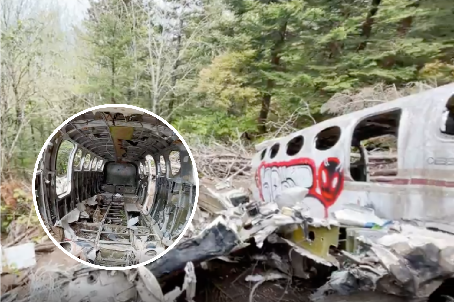 Video shows eerily preserved plane crash site in North Carolina: “Surreal”