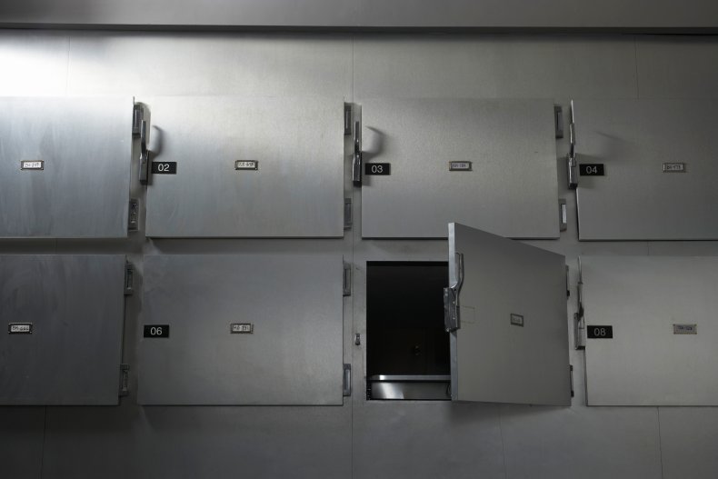 Stolen Human Skin From Harvard Morgue