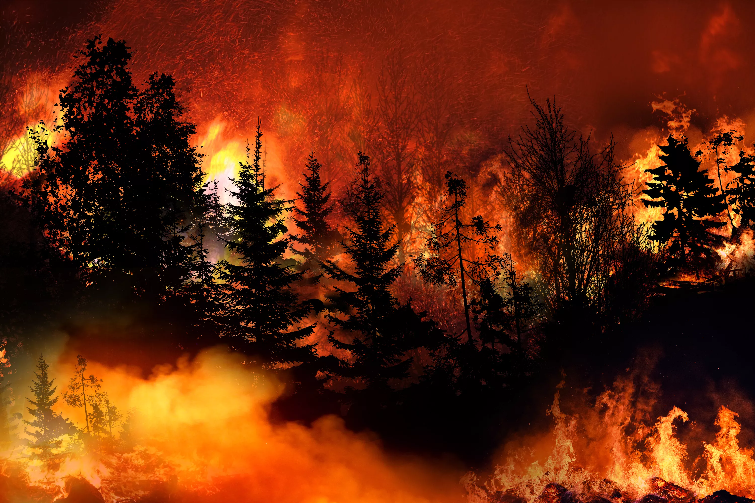 Wildfire Threats Move to Northern U.S. States This Summer - Vimarsana News