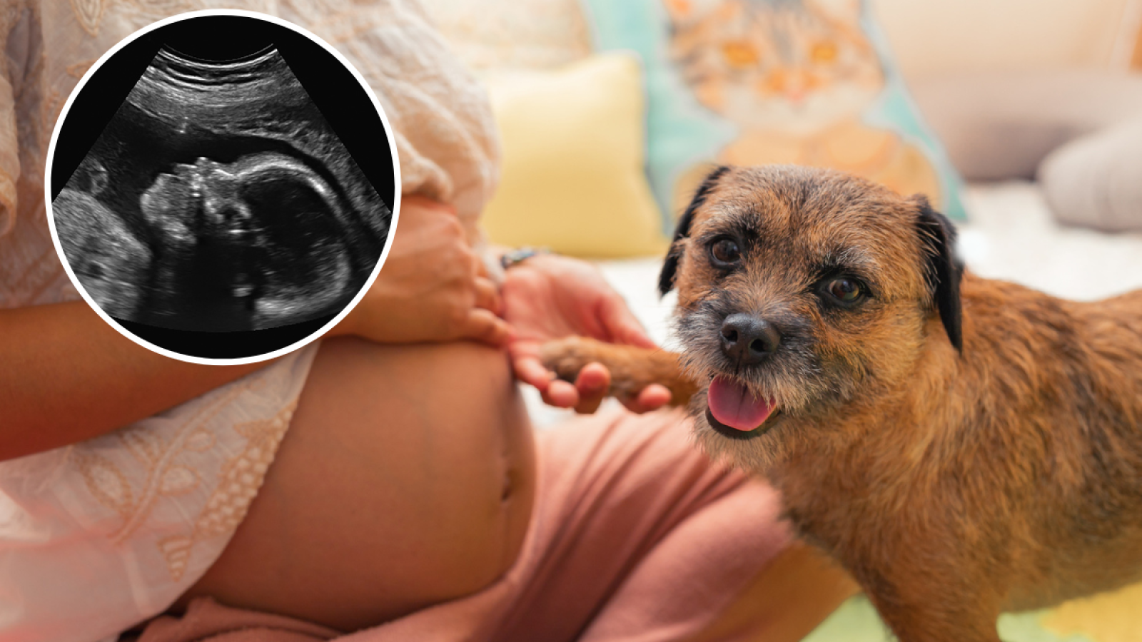 Dog Playing Baby And Dog Videos Funny Funny Animals Baby And Dog