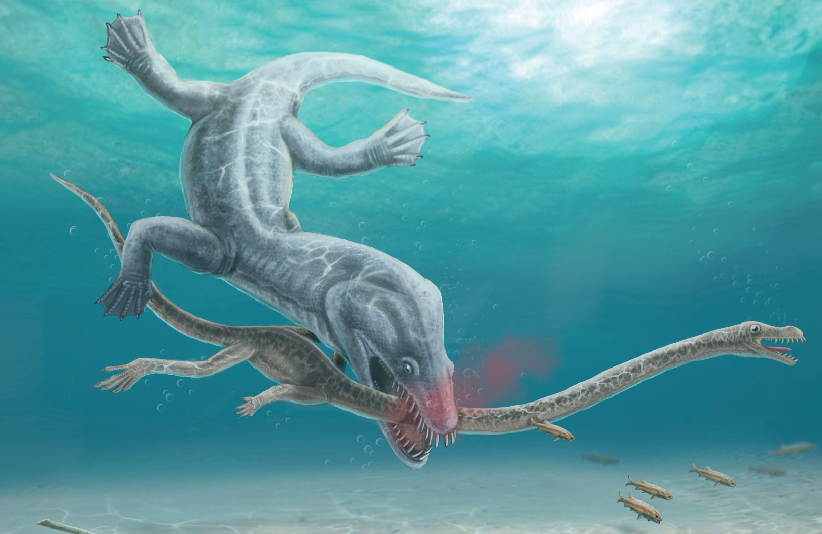 240-Million-Year-Old Long-Necked Reptiles Were Decapitated by Predators