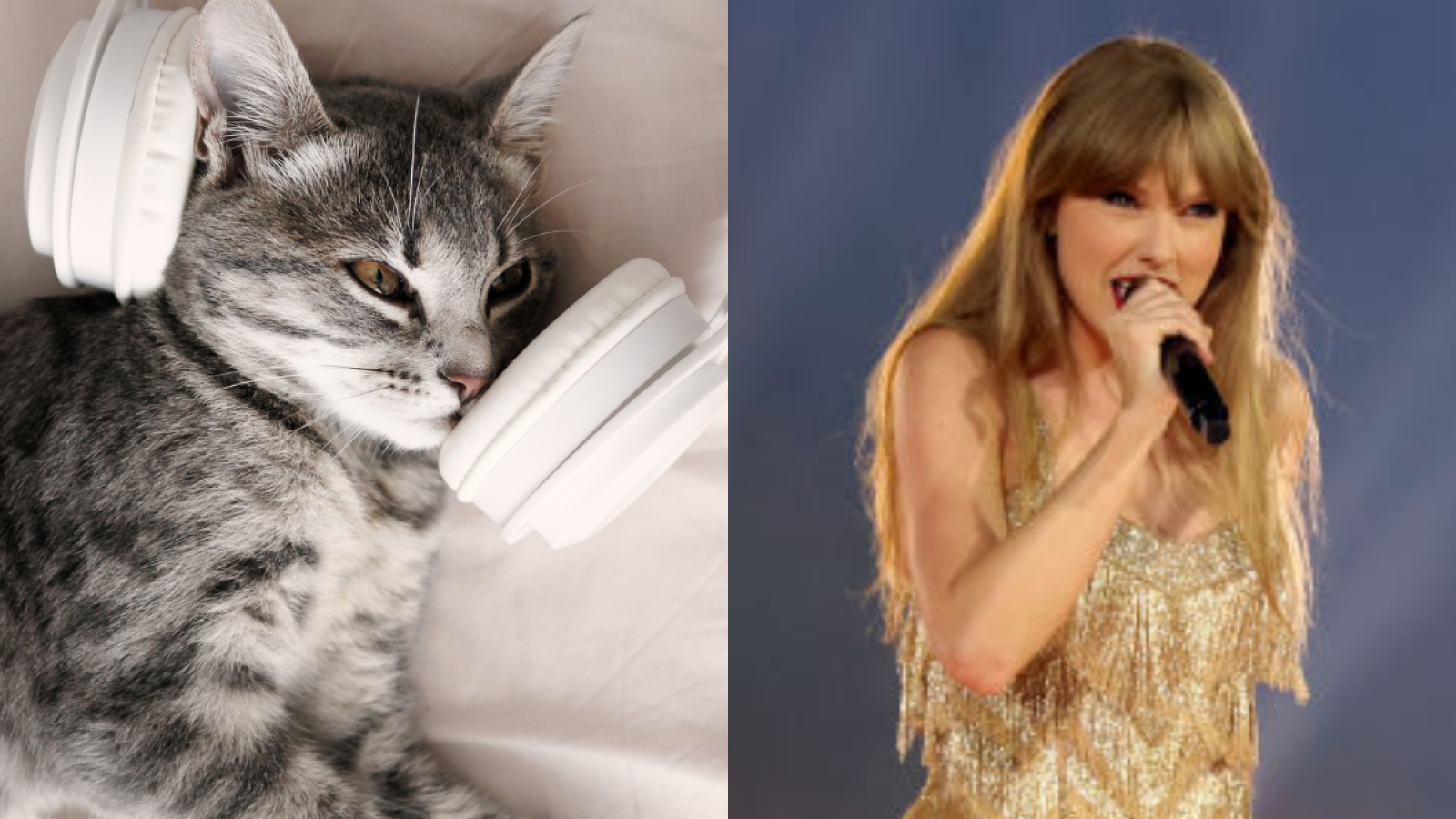 Taylor Swift Style — CATS rehearsal Anvei-Nao 'Stripe Cute Cat
