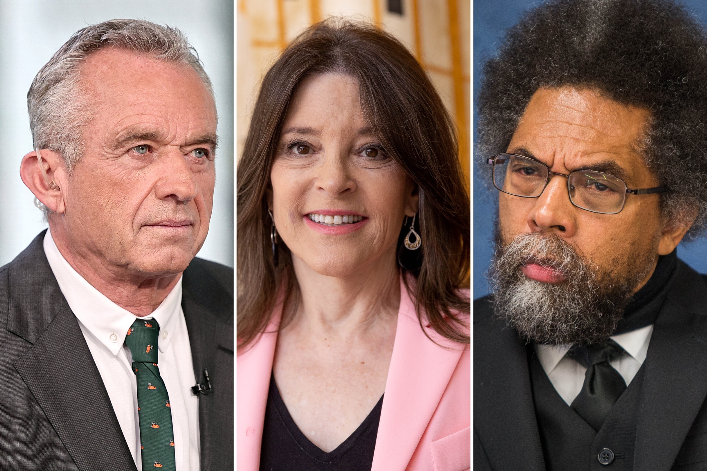 Hunter Biden Plea Deal Sparks Awkward Silence From Democrats