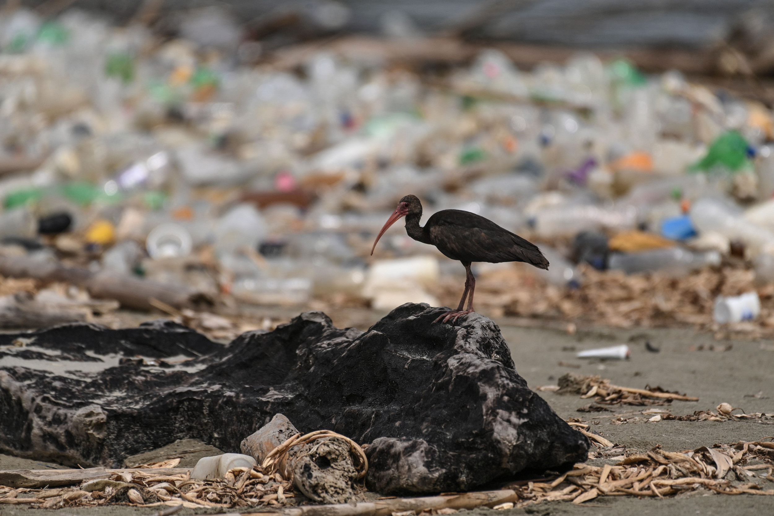 Plastic Isn't Going Away on Its Own. Here's How to Fix the Problem