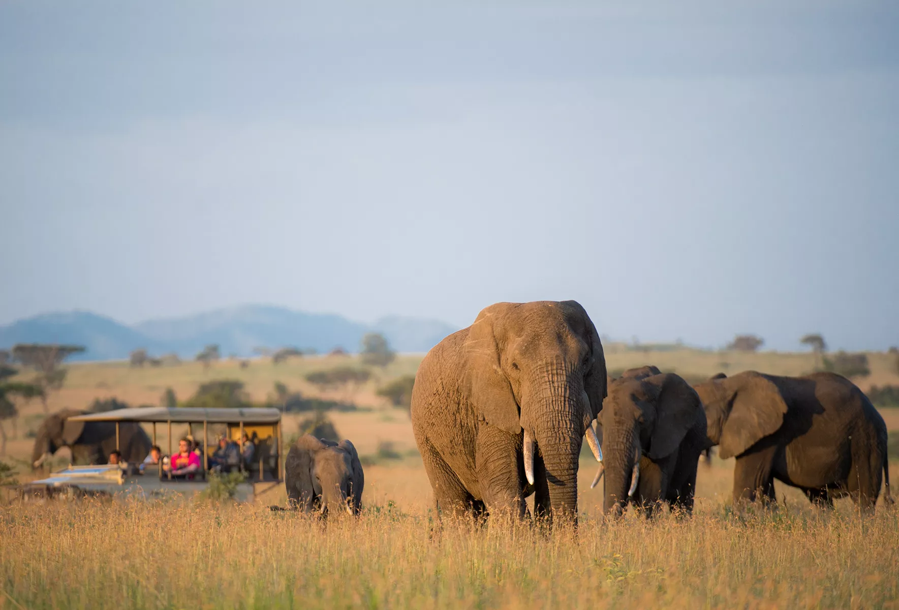 Inside The World of Ultra Wealthy Extreme Tourism - Vimarsana News