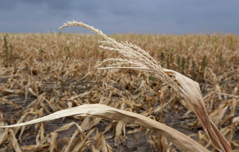 kansas drought