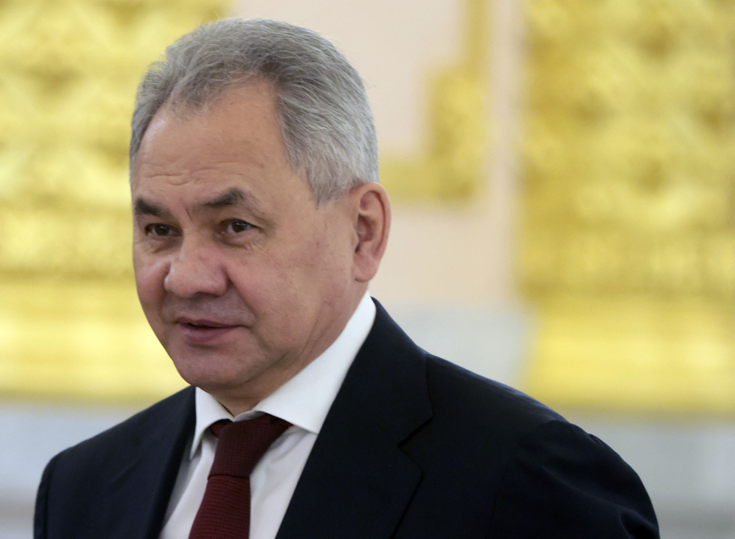 Shoigu Appearance Means Putin Is 'Sticking by' Him: Ex-Envoy