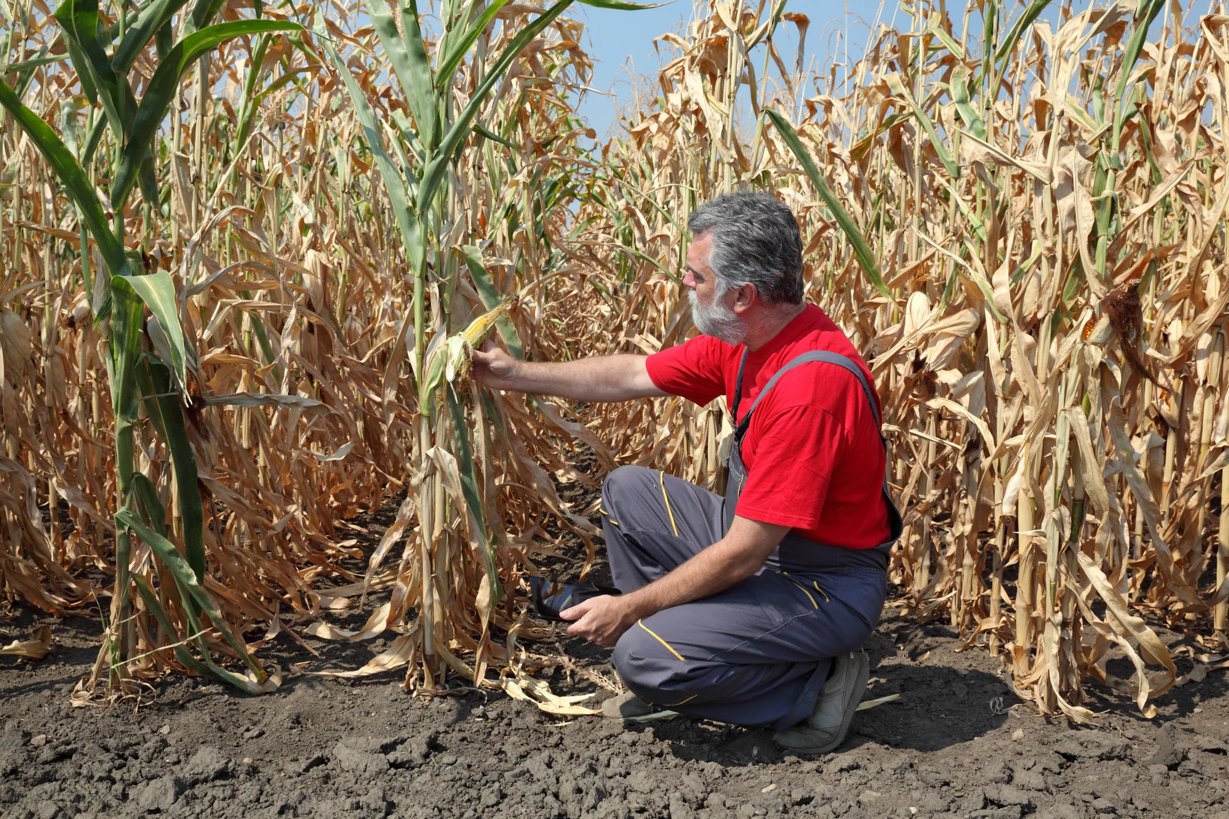 The Hidden Underground Lake in the Center of the U.S. Threatening Farming - Vimarsana News