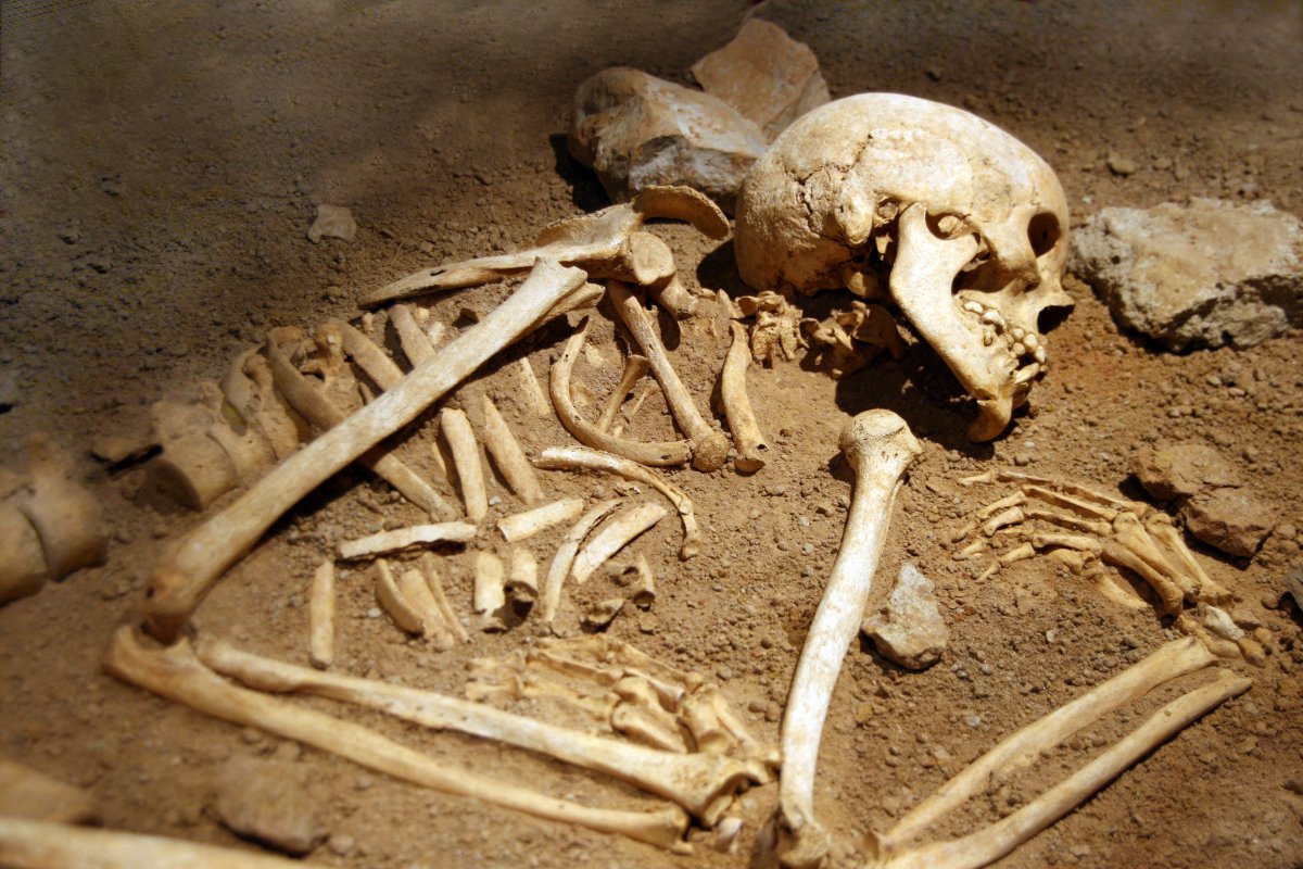 skeleton in ground