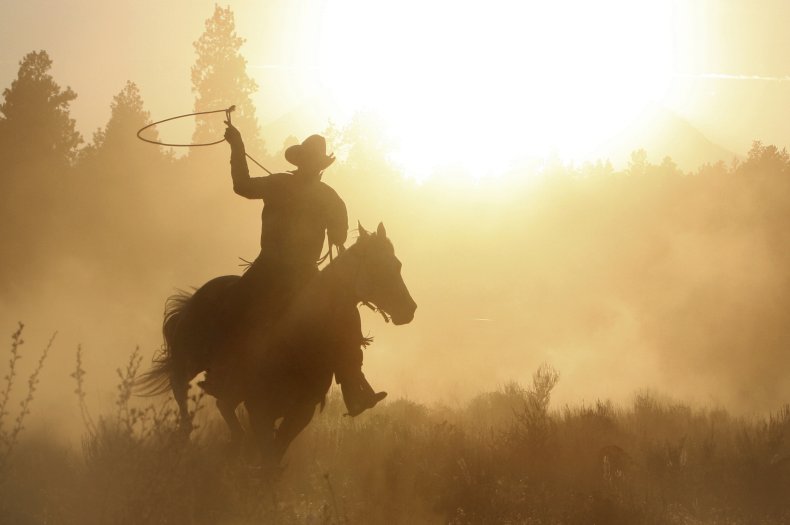 man on horse