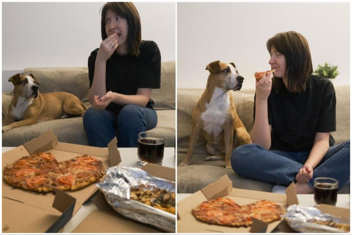 dog looking at a pizza