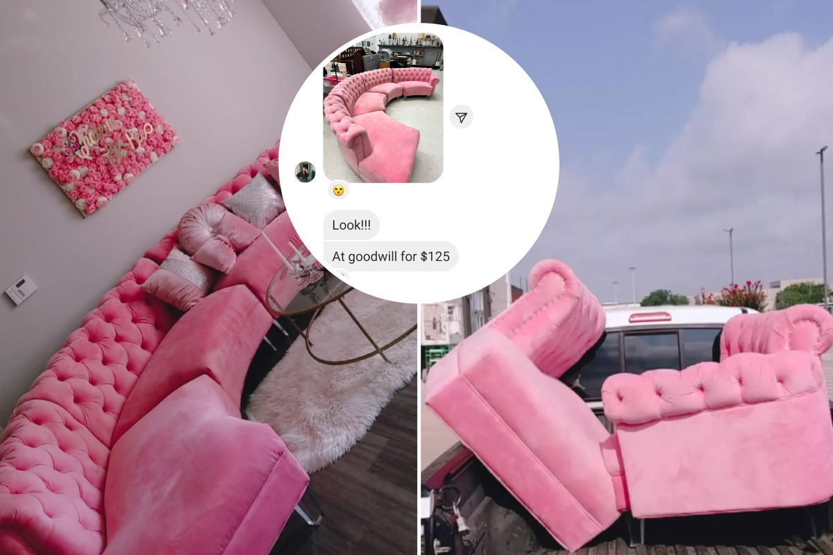 Thrifter Buys Couch Worth for $129 in Goodwill: 'Manifested'