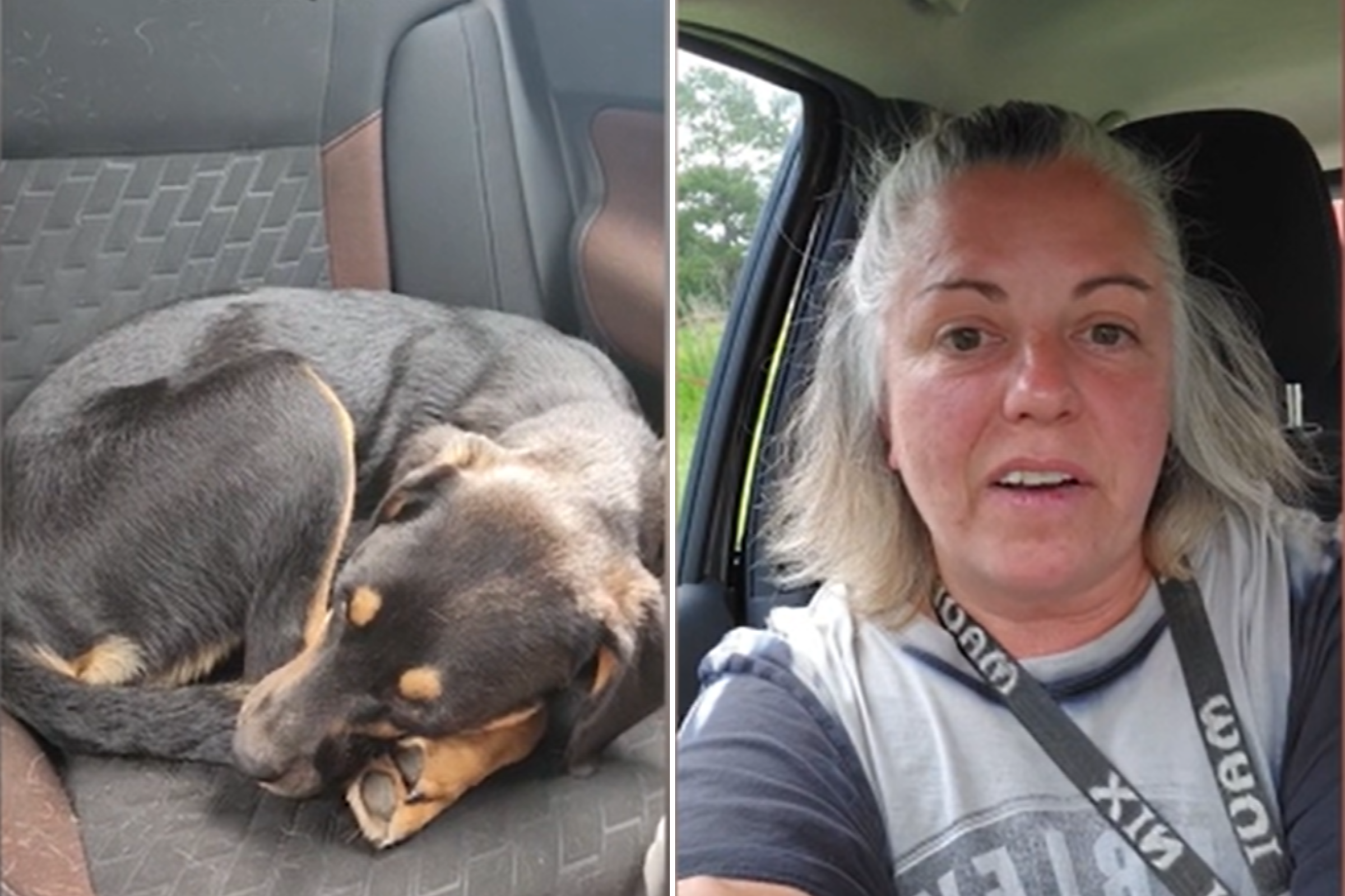 Woman rescues dog mid-way through euthanasia process: “Purpose in life”