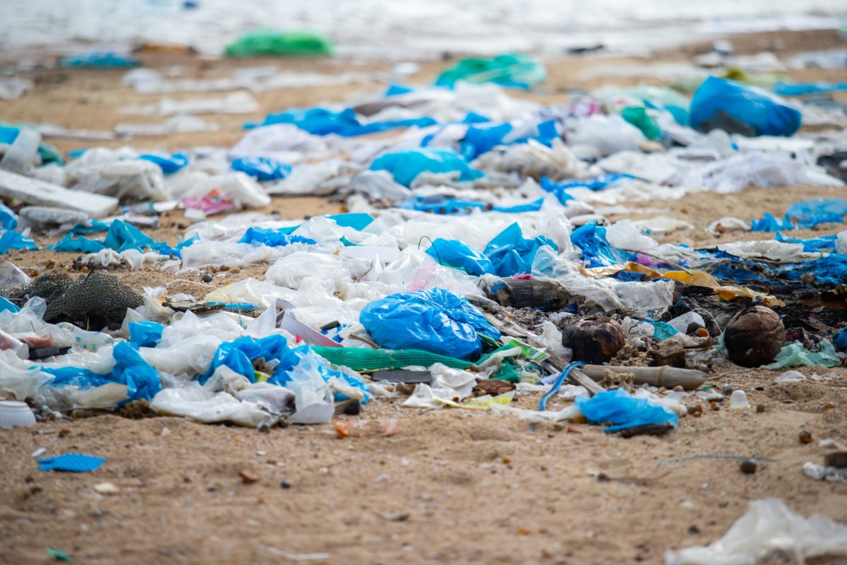 Plastic bags on beach
