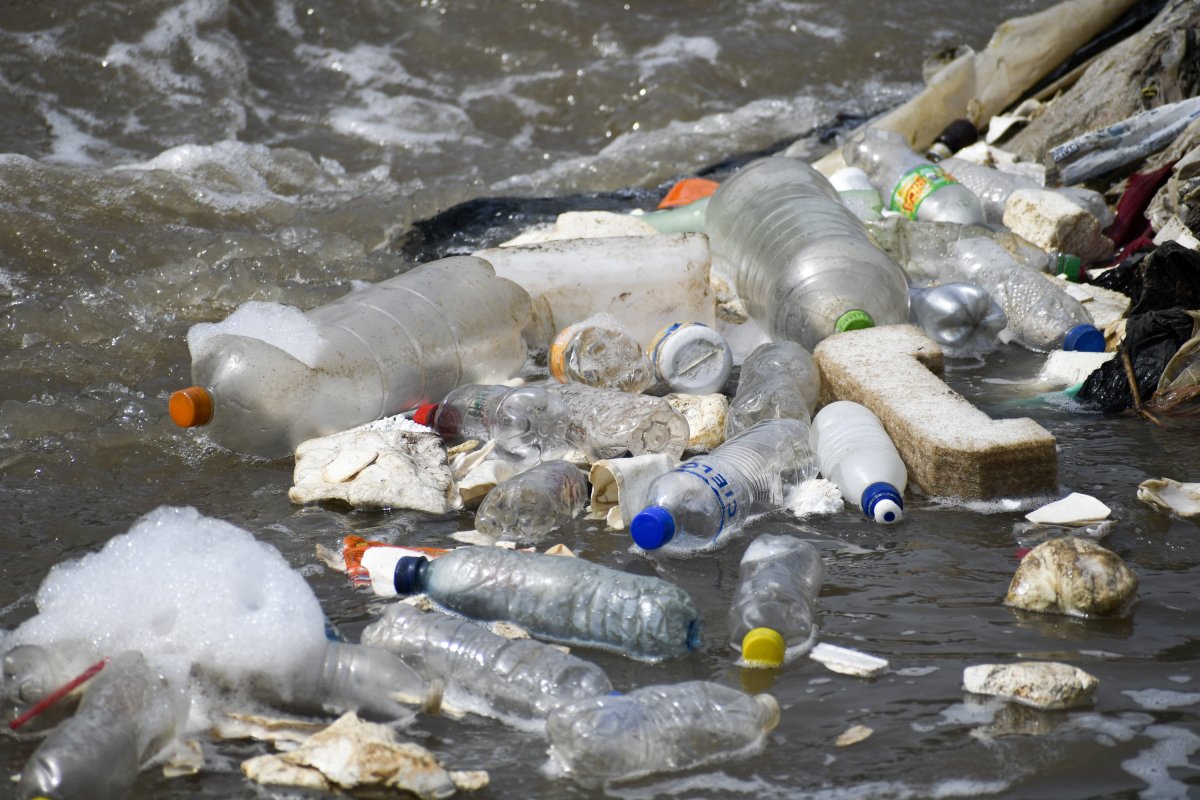 Plastic bottles