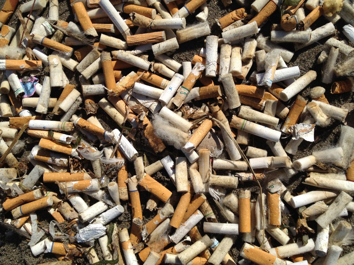 Cigarette butts