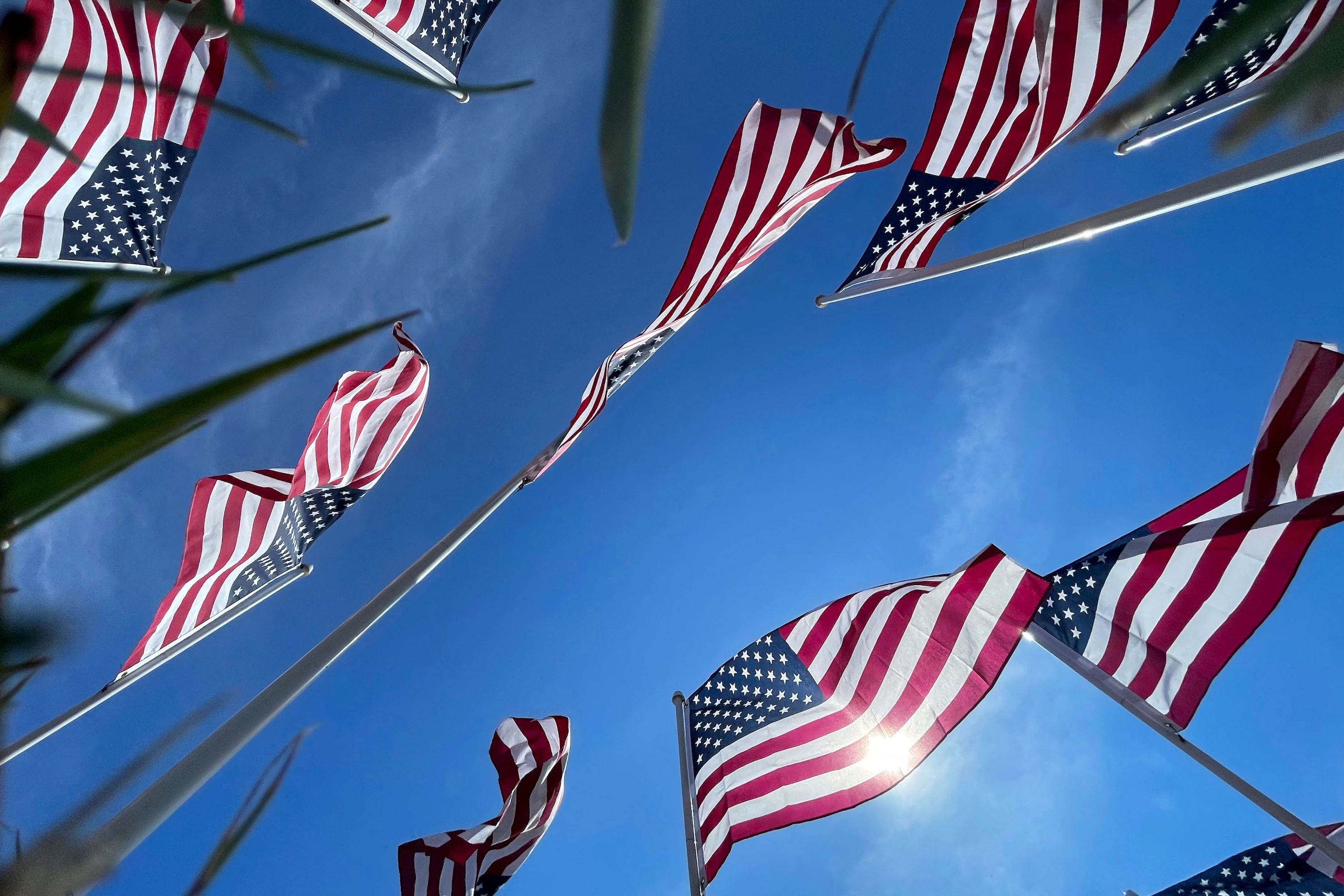 America Is Worth Celebrating Opinion Newsweek