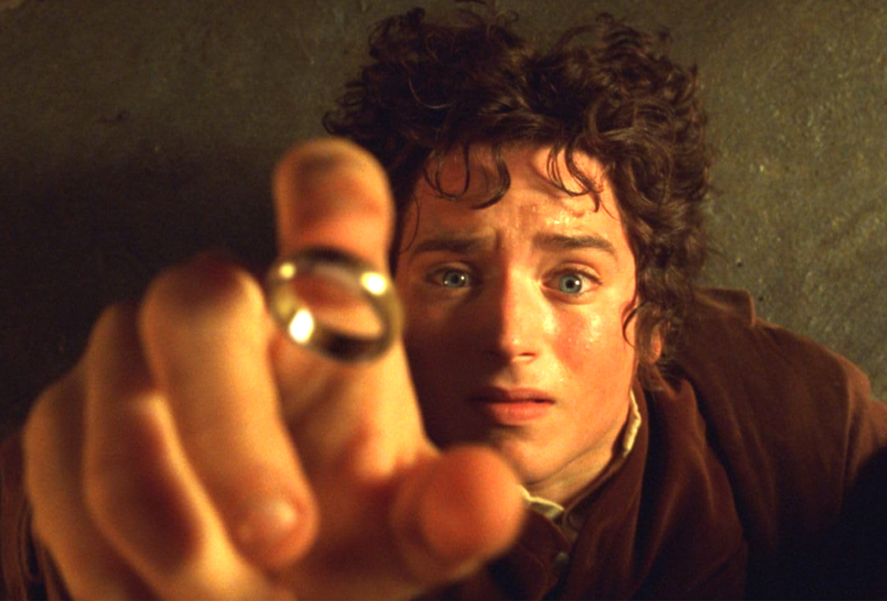 Lord of the Rings: The Fellowship of the Ring, The (1/2