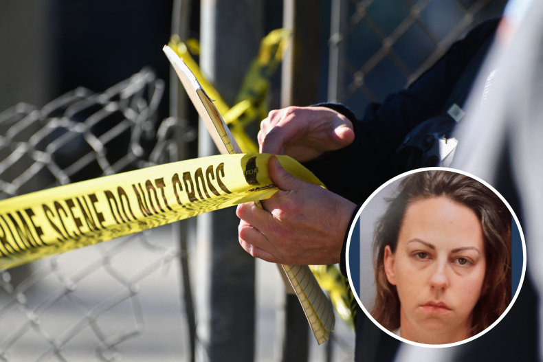 California Babysitter Charged With Murder