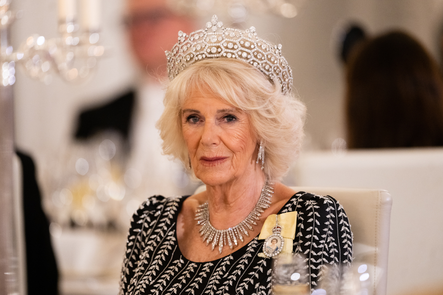 Queen Camilla Turns 76: Her Year In Photos From Duchess To Queen