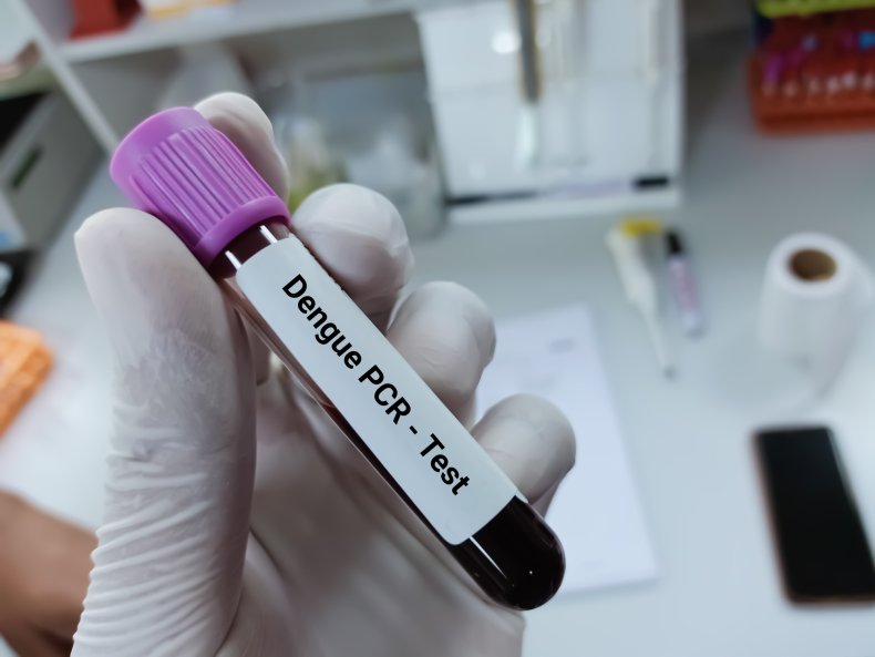 Dengue fever