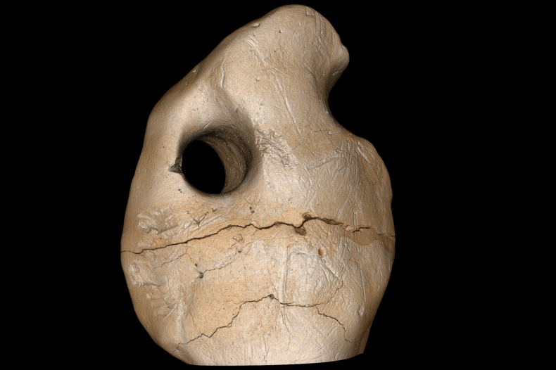 An osteoderm
