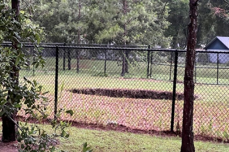 Seffner Florida sinkhole