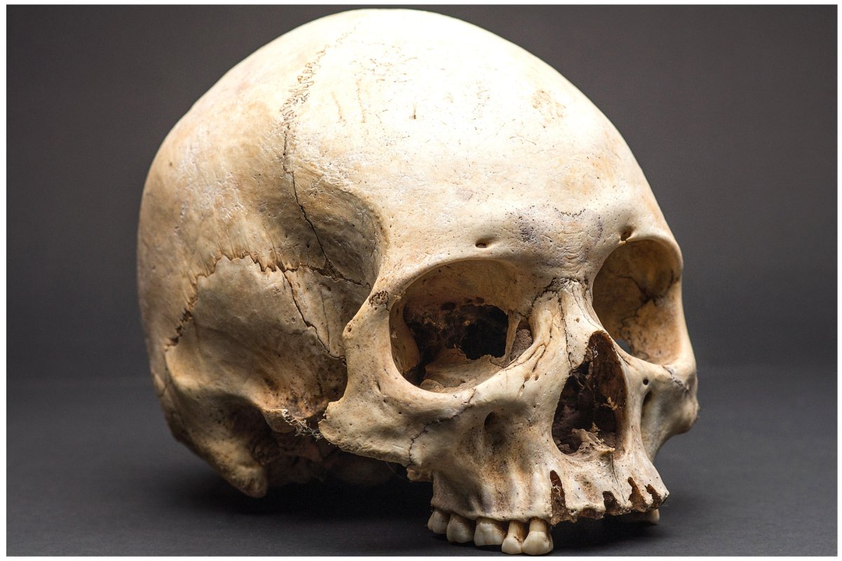 40 human skulls, other bones used as decorations found in Kentucky