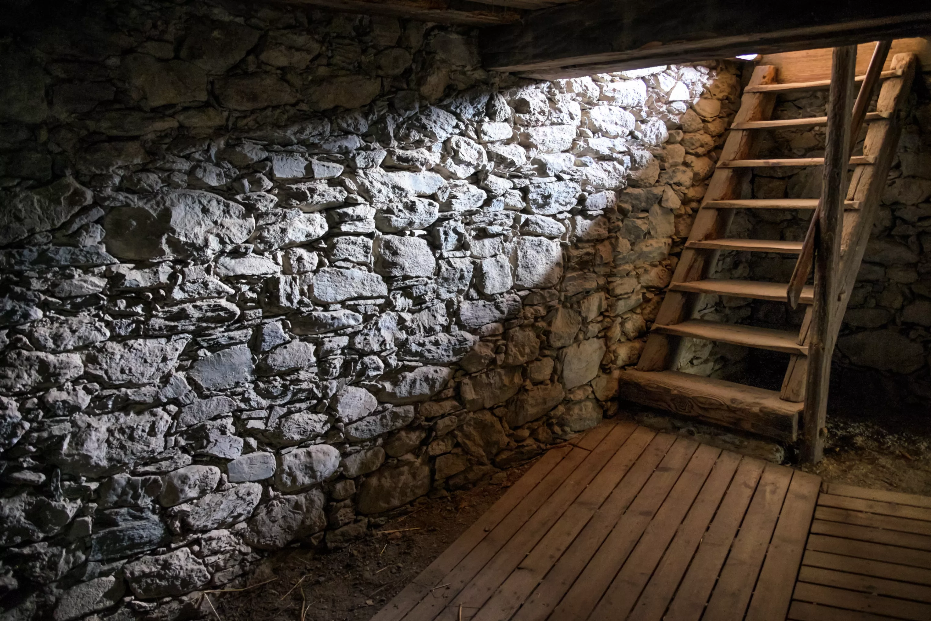 Man Hears Crying From His Basement, Internet Not Prepared for What He Finds - Vimarsana News