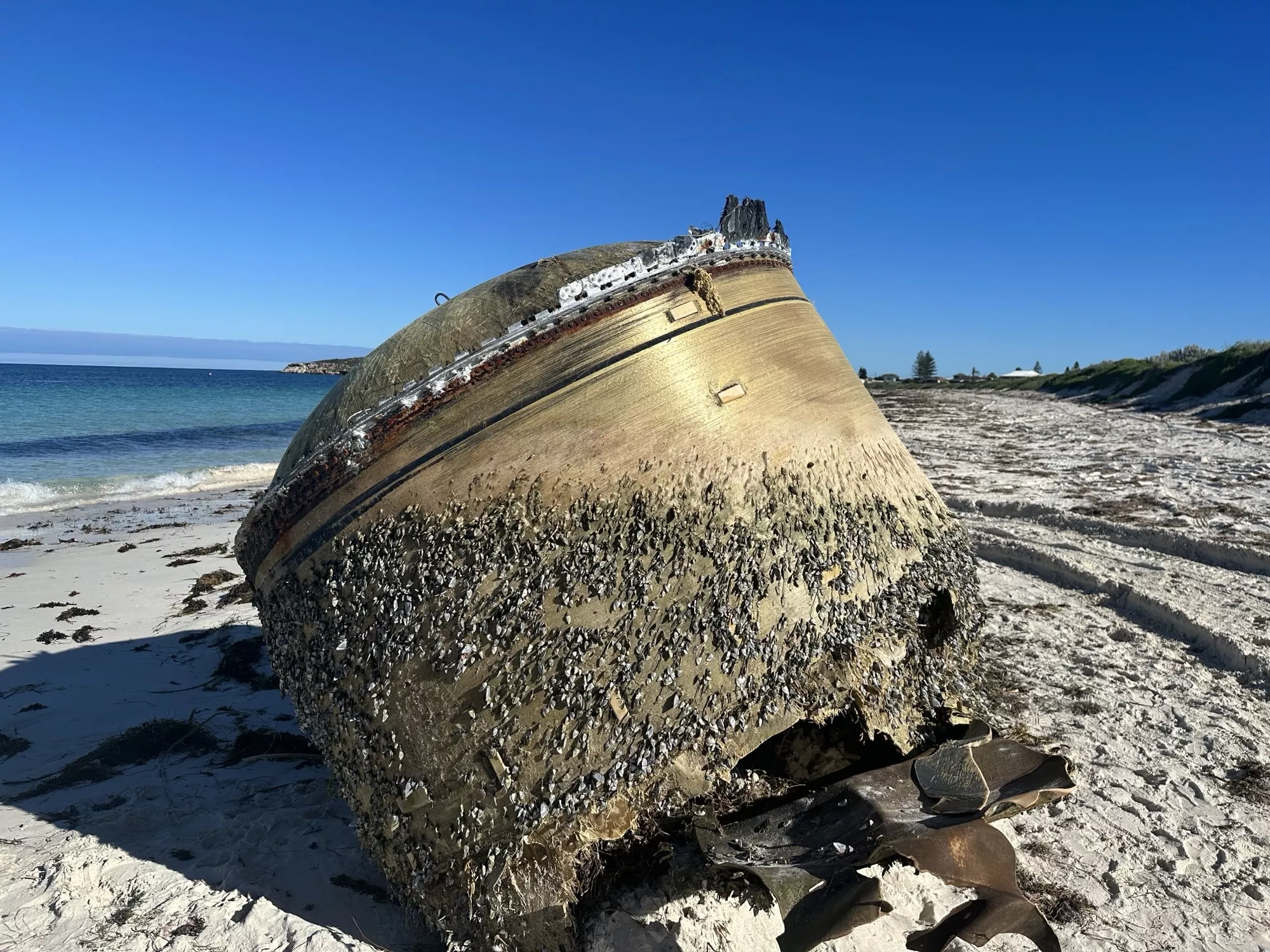 Mysterious 8-Foot Object Washed Up on Beach Might Be Decades-Old Rocket - Vimarsana News