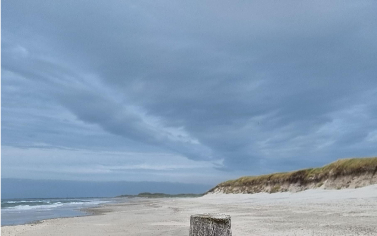 Horror Moment Family Stumble Upon Minefield During Trip to Beach
