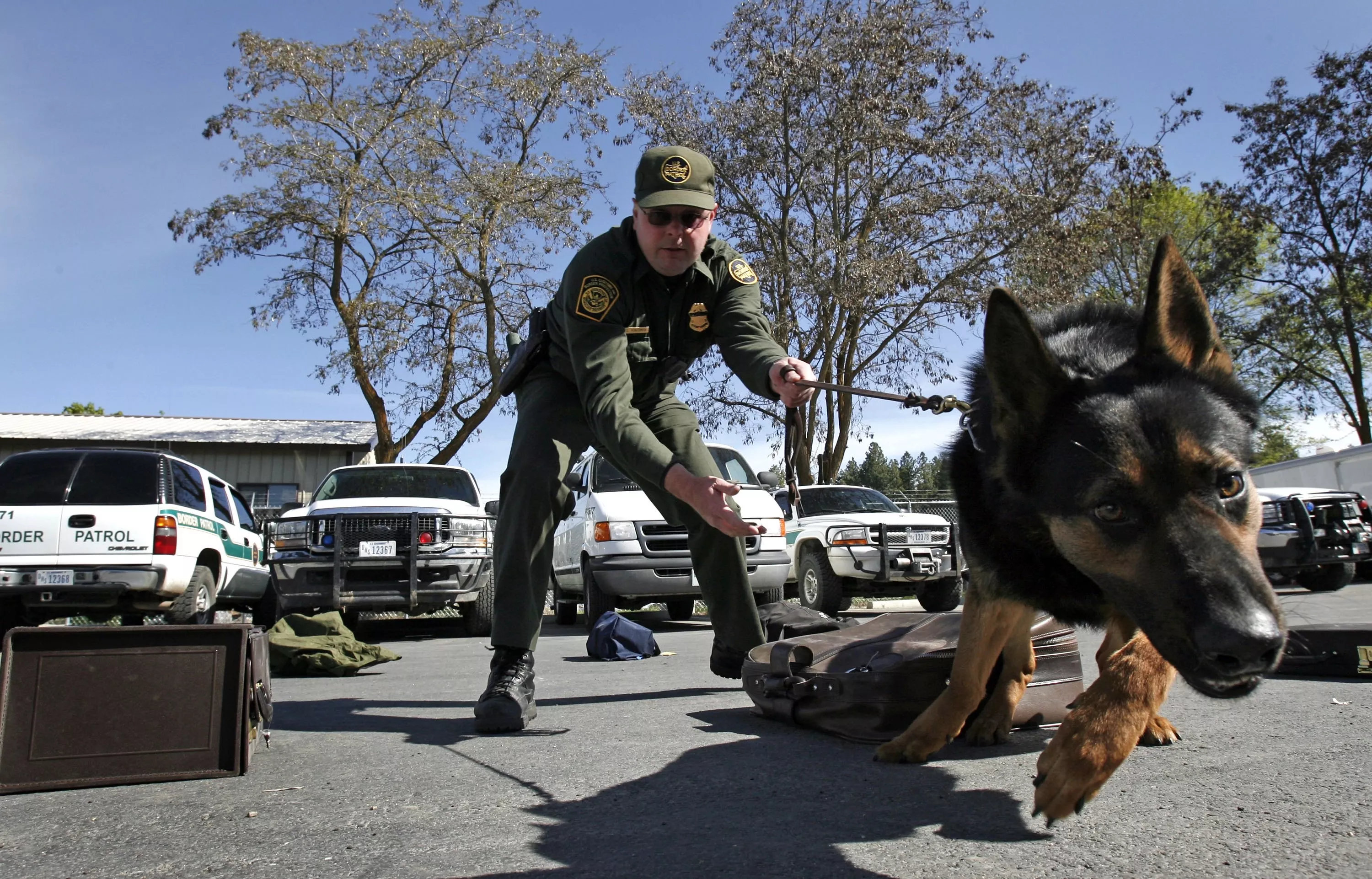 Video of K-9 Unit Attacking Black Man in Ohio Sparks Outrage: 'So Awful' - Vimarsana News