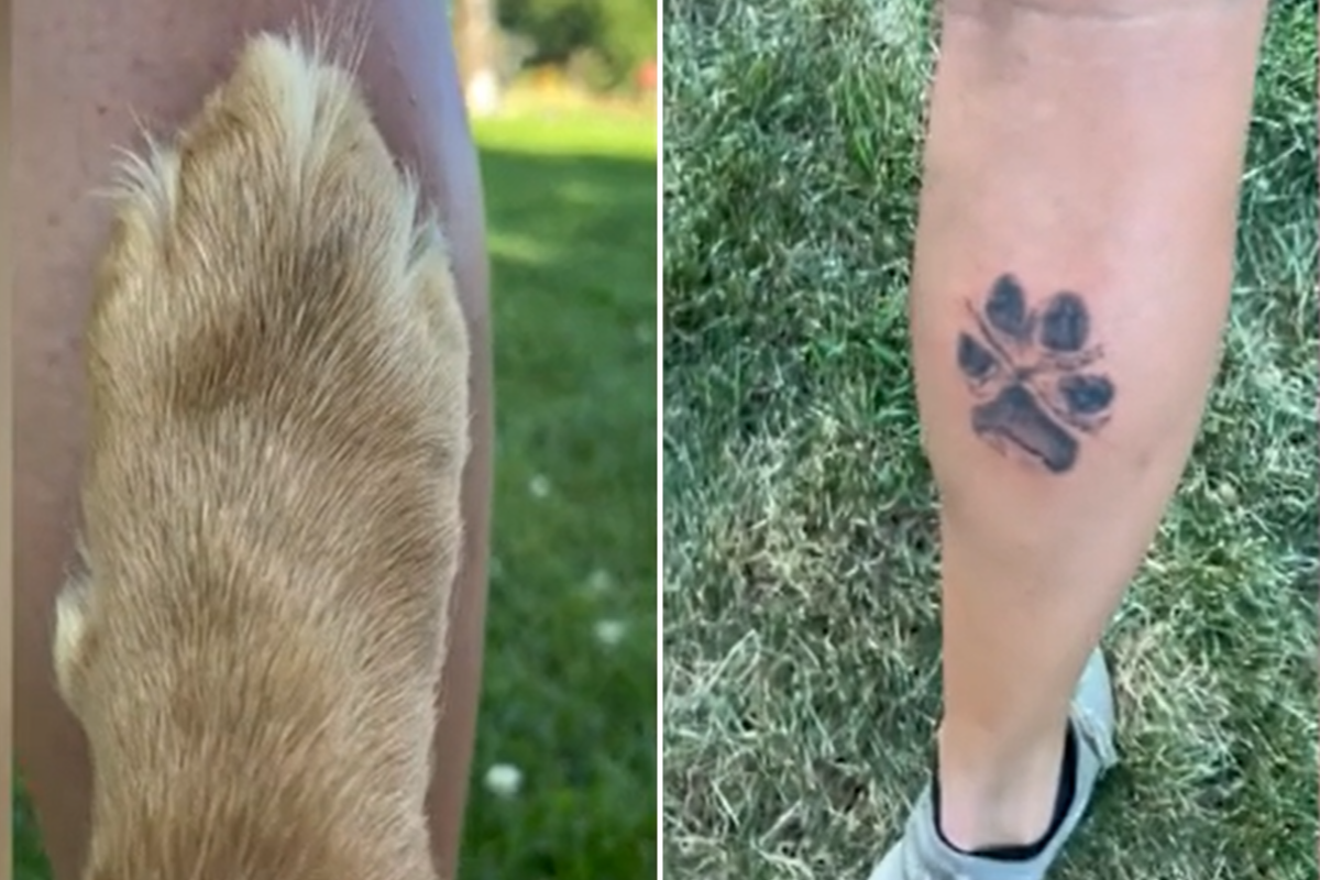 Woman gets dog's paw tattooed
