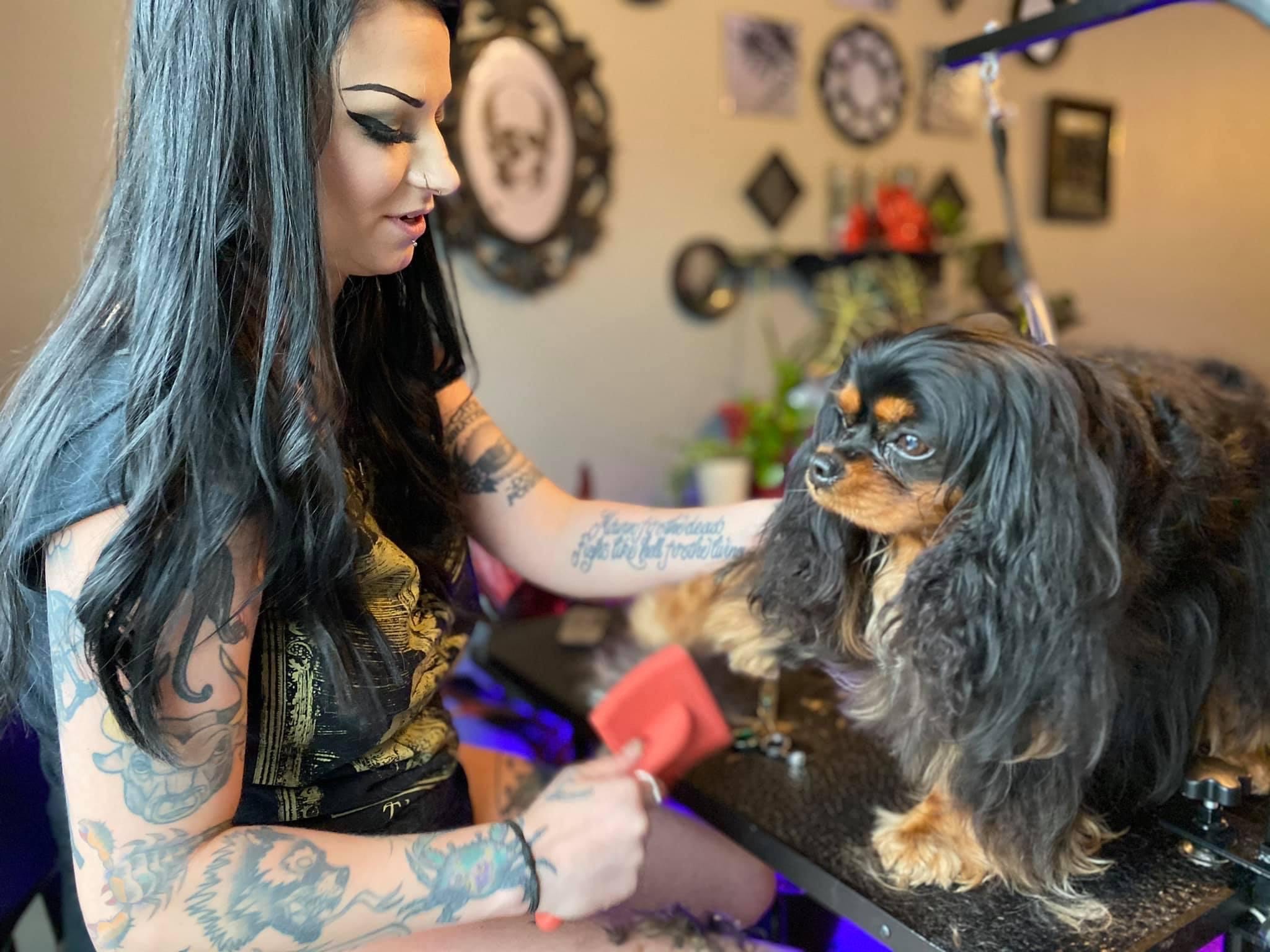 Sioux Falls Area Humane Society hosting Tattoos for Rescues