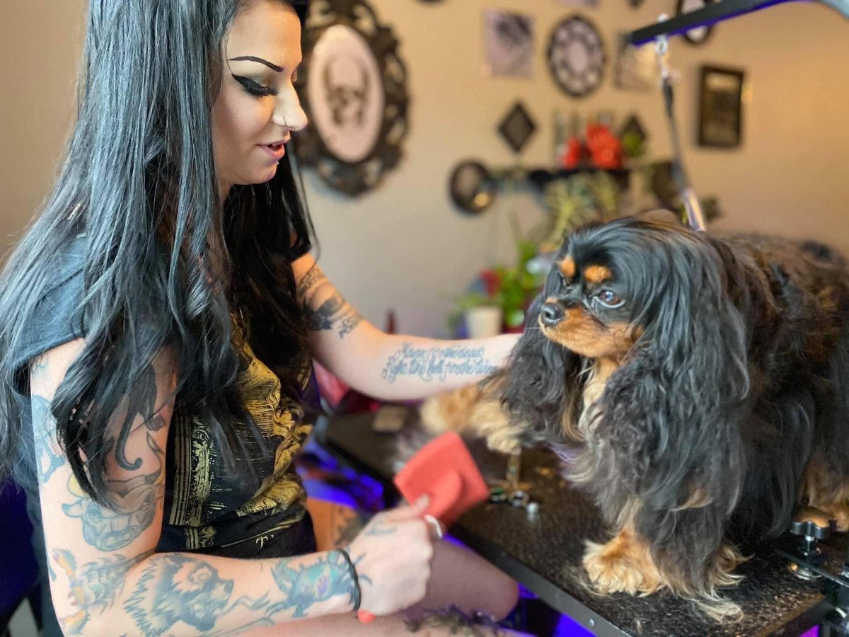 Mae Doll brushing a client's dog