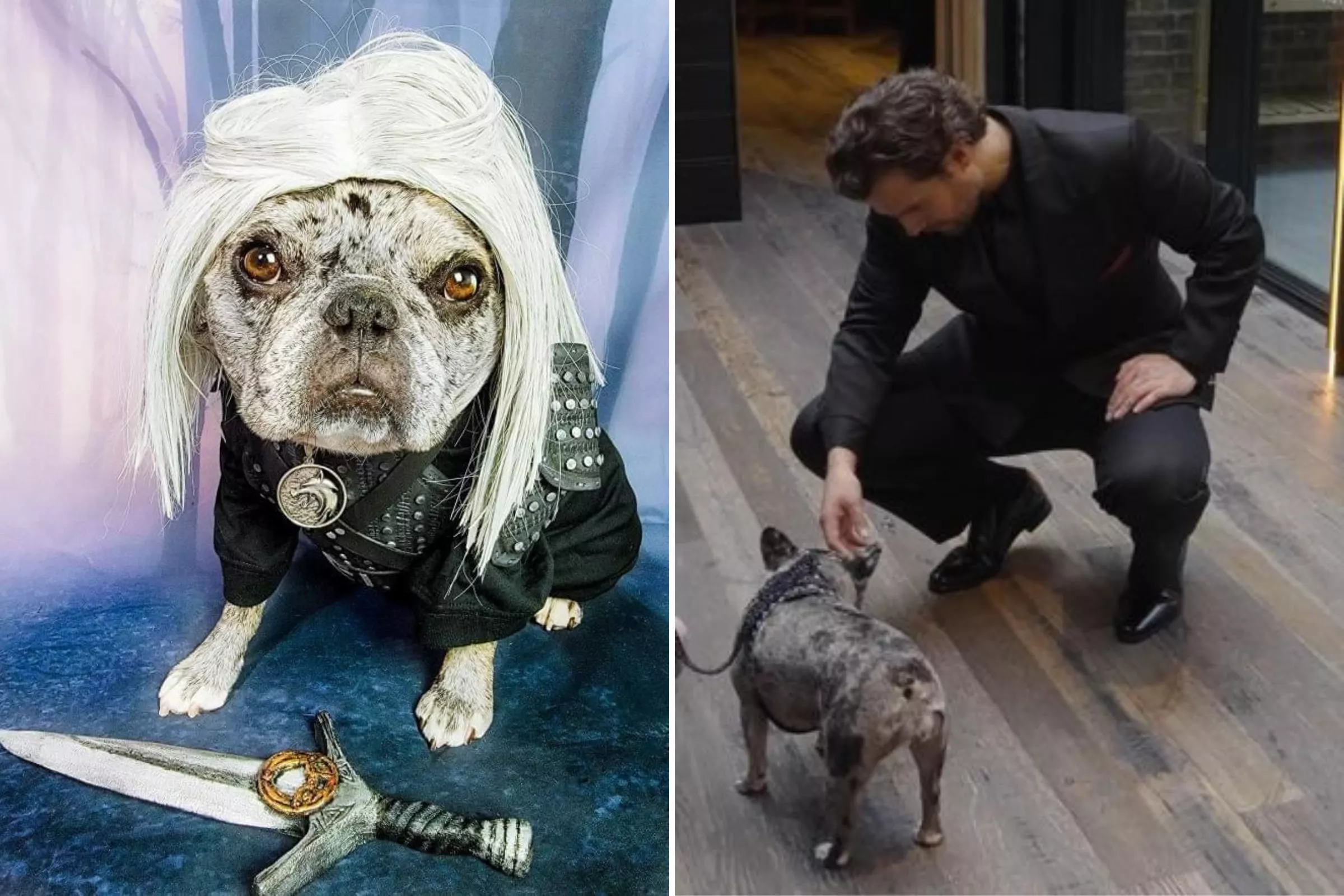 Frenchie Obsessed With Henry Cavill Gets To Meet Her Hero—'Star Treatment' - Vimarsana News