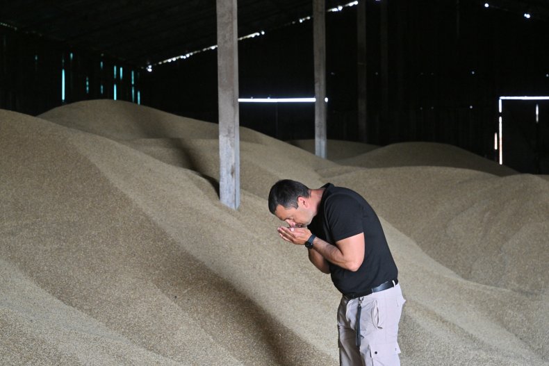 Ukraine businessman inspects grain storage site Kyiv