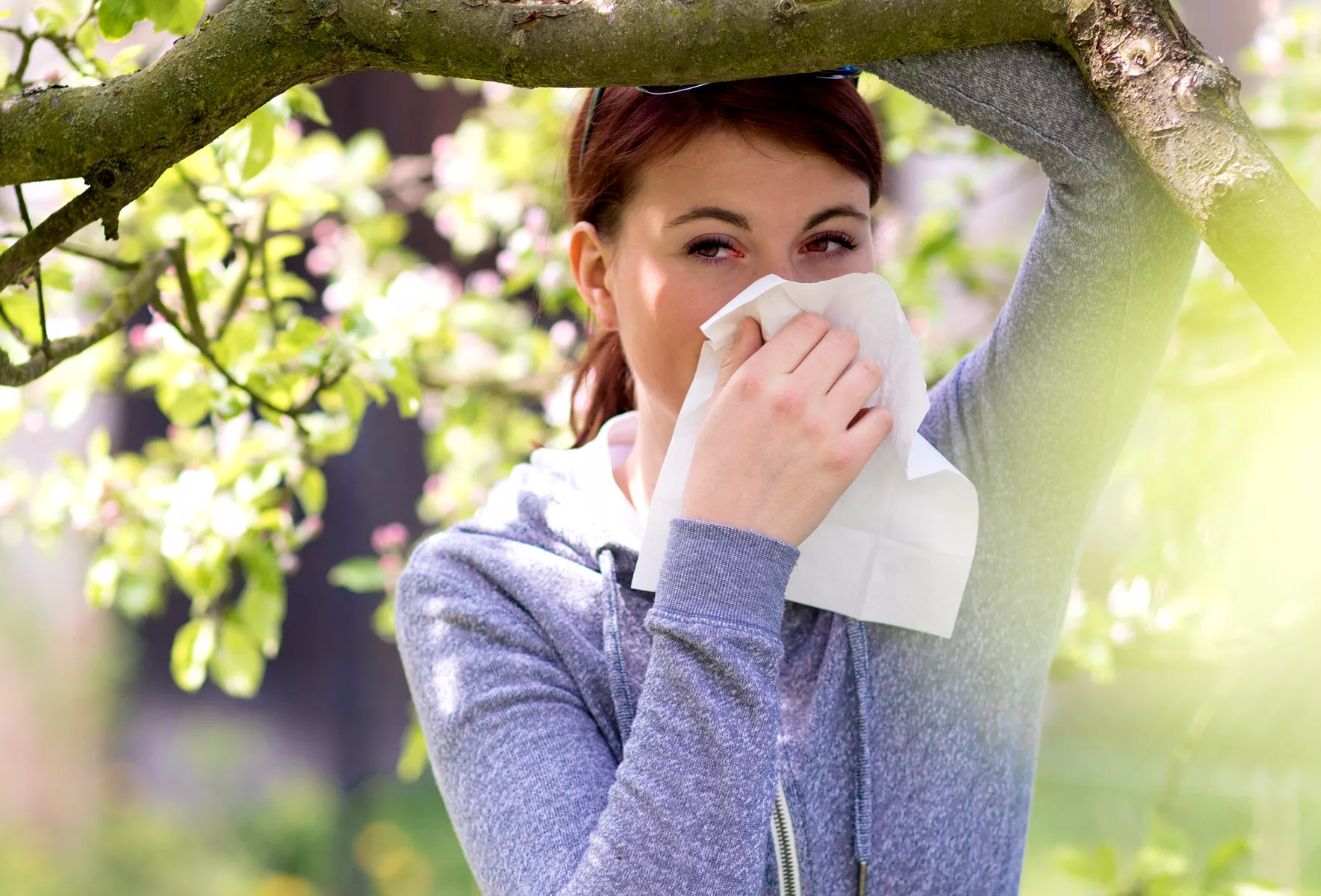 These Are the 5 Foods To Eat To Reduce Hay Fever Symptoms—Including Cheese - Vimarsana News