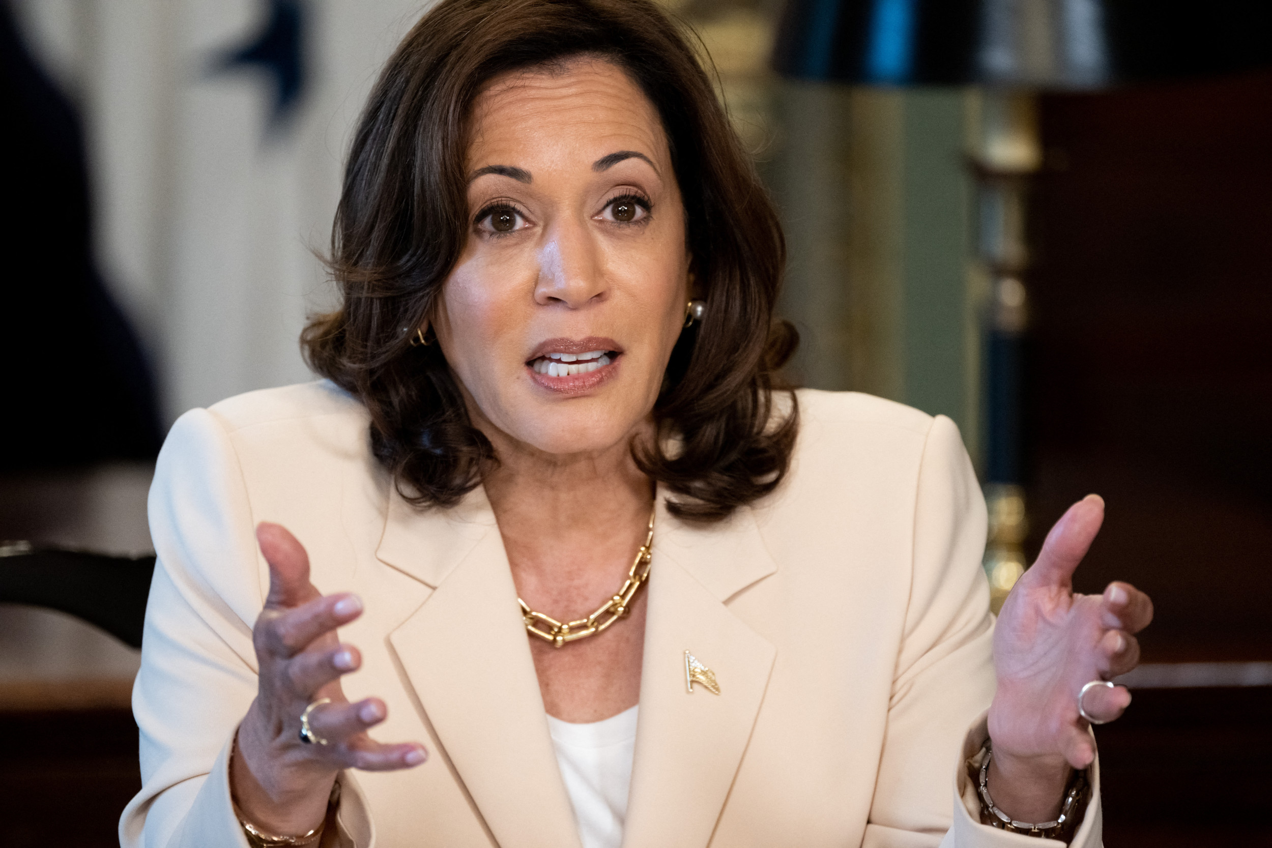 kamala-harris-says-florida-slavery-lessons-are-attempt-to-gaslight-us