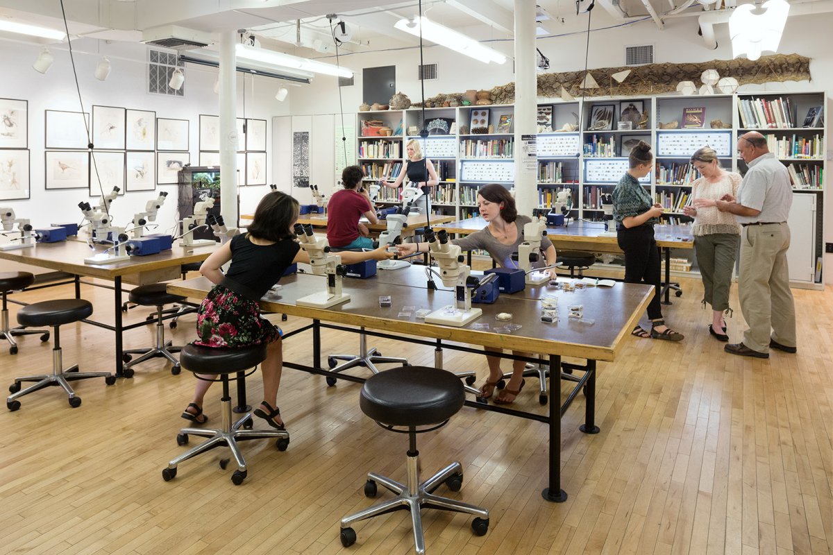 Rhode Island School of Design Nature Lab