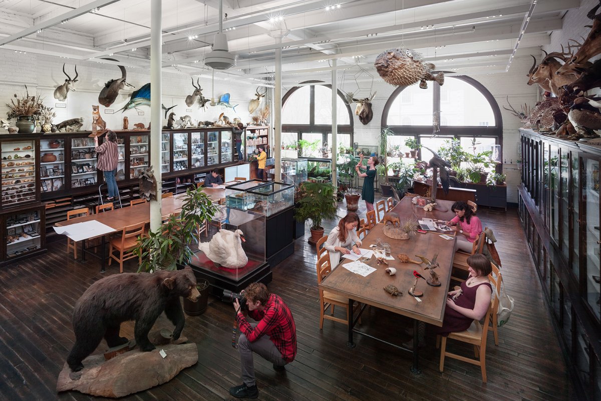 Rhode Island School of Design Nature Lab