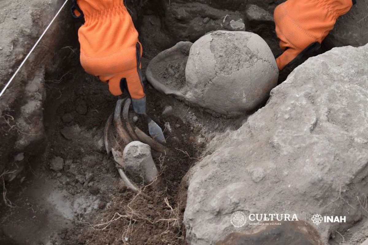 Human remains at La Ferrería site, Mexico