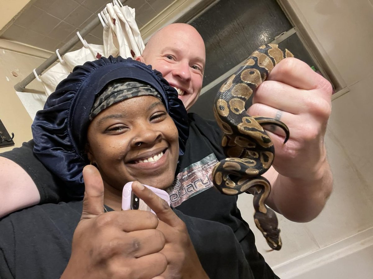 Family Shocked To Find Huge Python Inside Their Toilet